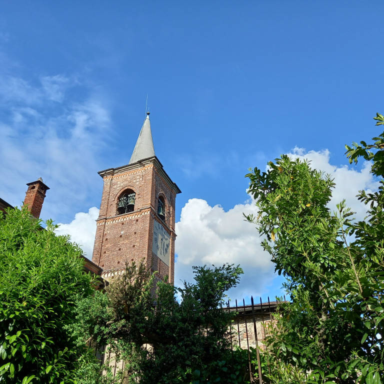 VISITA CON LA CURATRICE AL MUSEO DELLA COLLEGIATA
