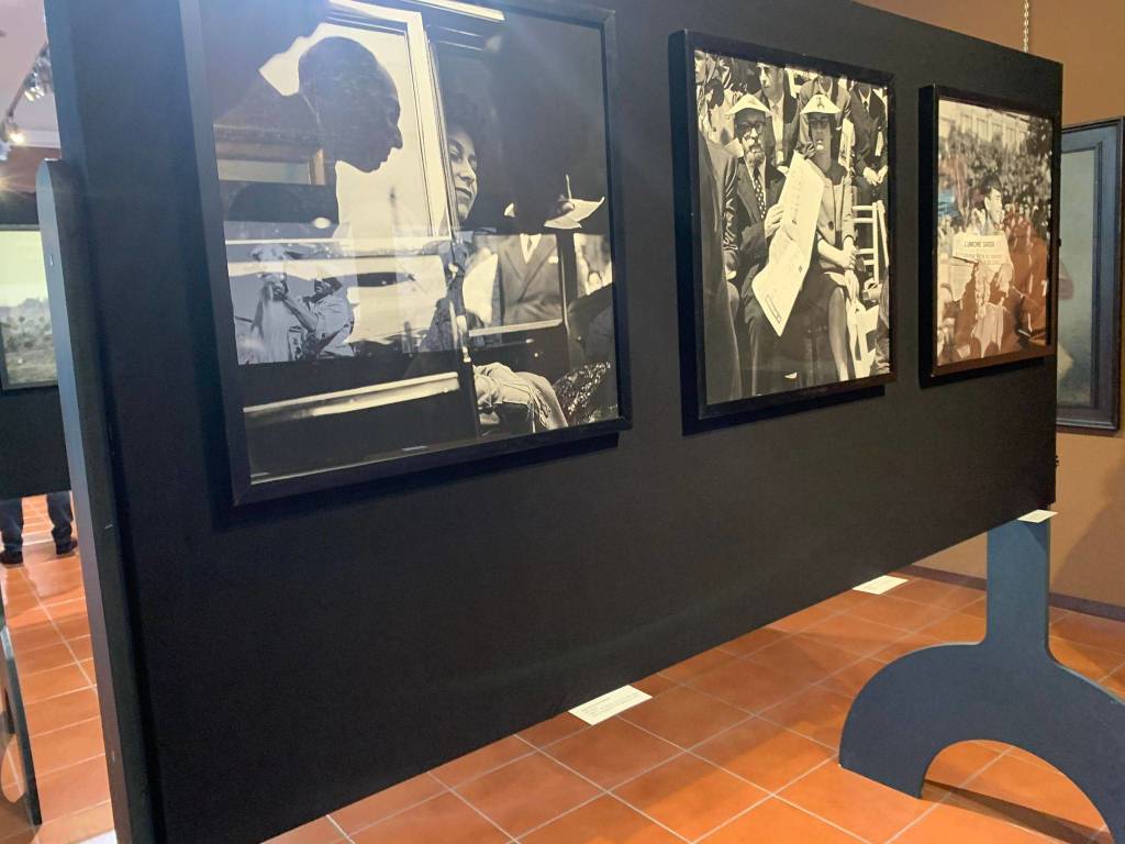 festival fotografico europeo 2021 palazzo cicogna
