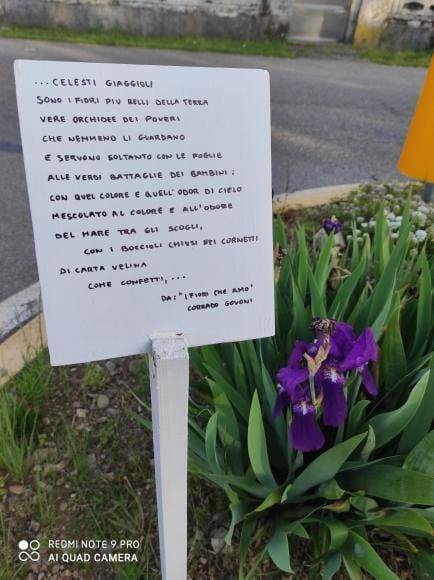 Fiori e poesie, a Busto Garolfo le aiuole di via San Pietro si fanno belle grazie ai cittadini