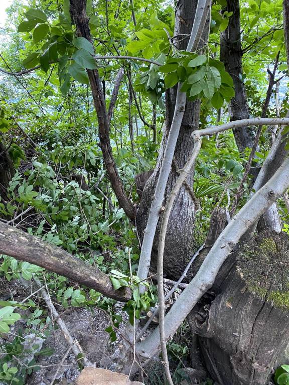 Frana tra Luino e Maccagno, statale del lago chiusa fino a giovedì pomeriggio