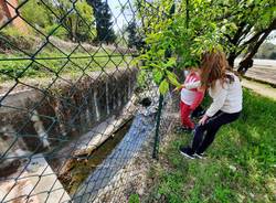 Gli alunni della primaria Galilei a lezione di … "Vellone"