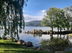 Il lago a Cazzago Brabbia