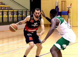 legnano knights