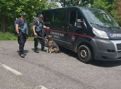 nucleo cinofilo carabinieri cani 