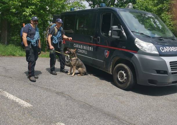 nucleo cinofilo carabinieri cani 