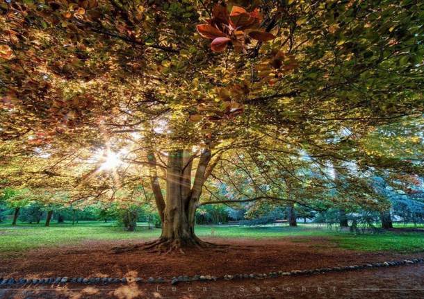 Parco Bassetti Gallarate