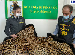 pelliccia malpensa