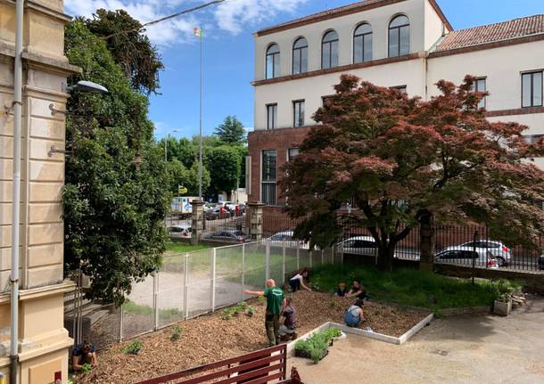 Prende forma l'orto sinergico in via Como a Varese - Foto di Francesco Gemmo