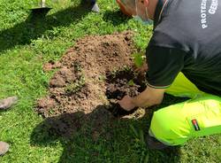 Scuola elementare Gemonio green school nuovi alberi