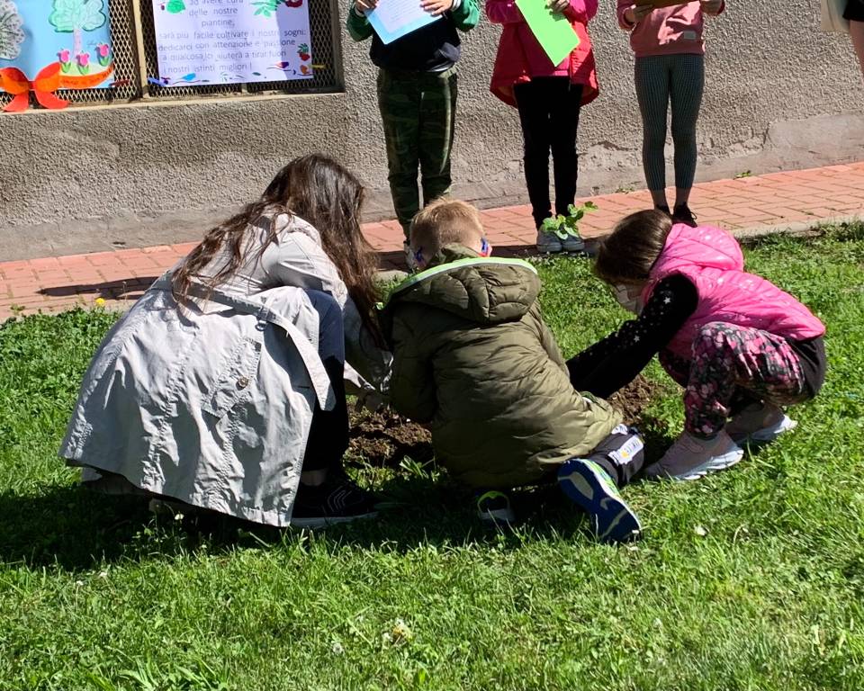 Scuola elementare Gemonio green school nuovi alberi