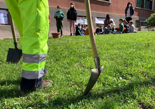 Scuola elementare Gemonio green school nuovi alberi