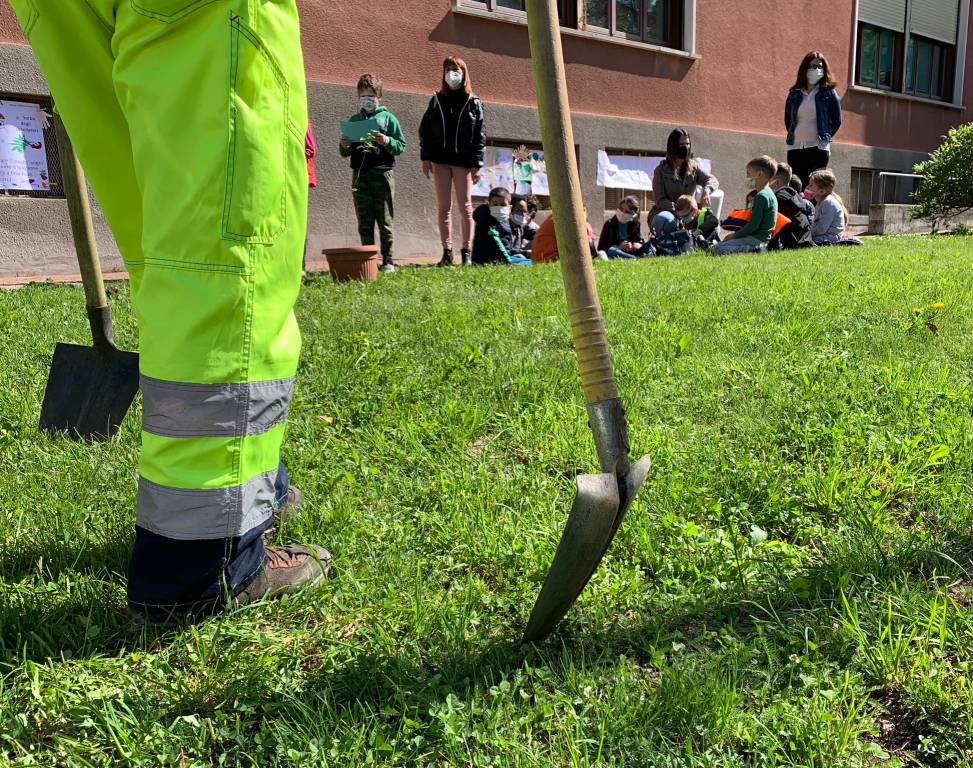 Scuola elementare Gemonio green school nuovi alberi