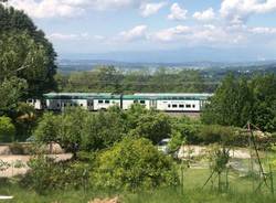 treno trenord