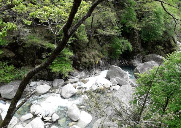 Una gita in Val Grande