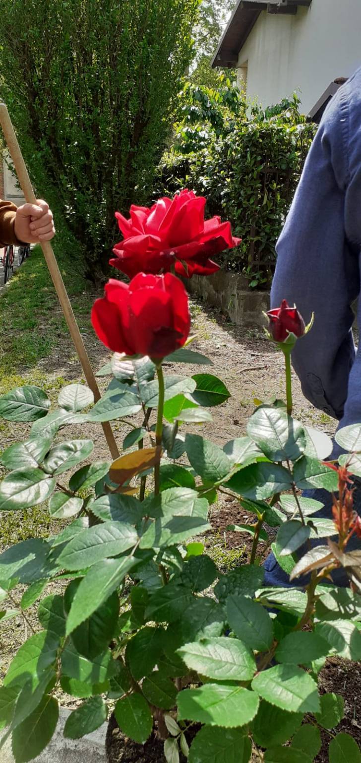 Vittime del terrorismo e delle mafie ricordate a Legnano nel giardino Peppino Impastato