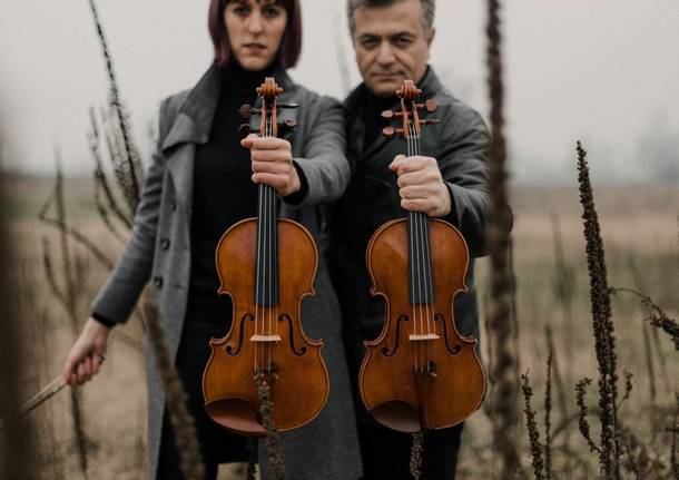 2 violins