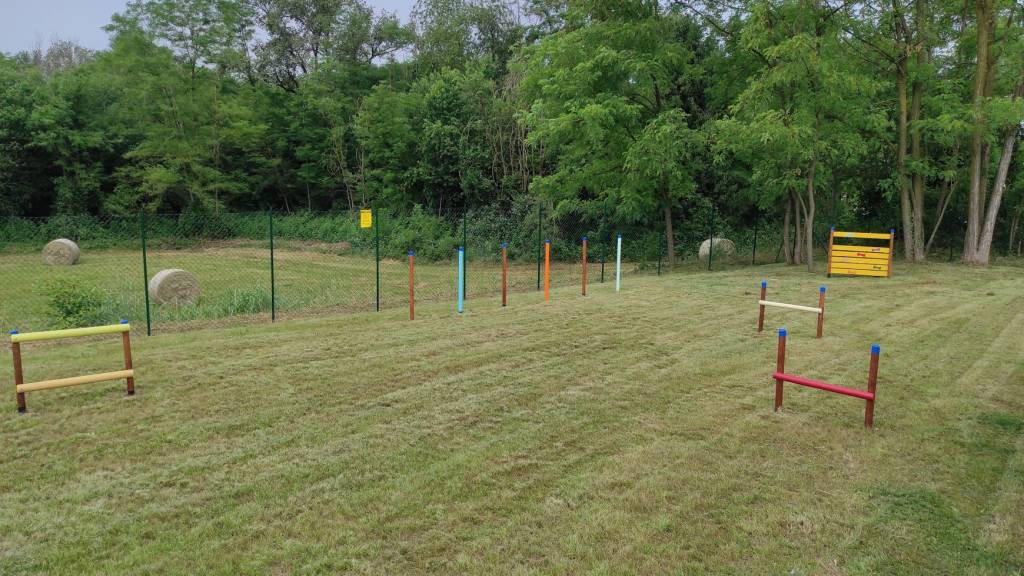 area cani albizzate