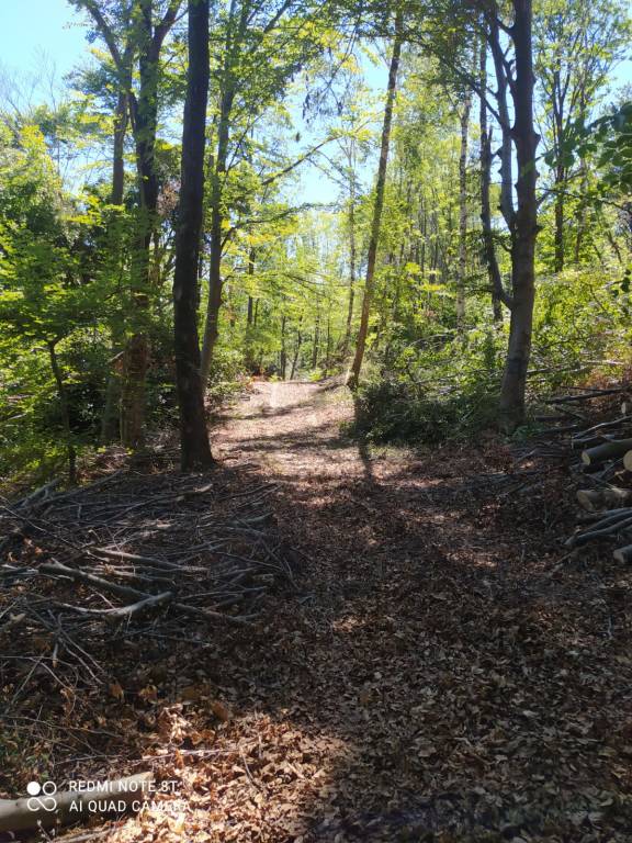I cacciatori al lavoro per risistemare i sentieri a Brinzio