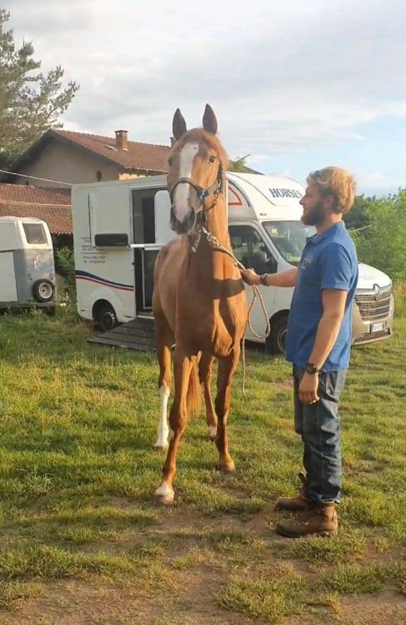 La seconda vita di Miracle