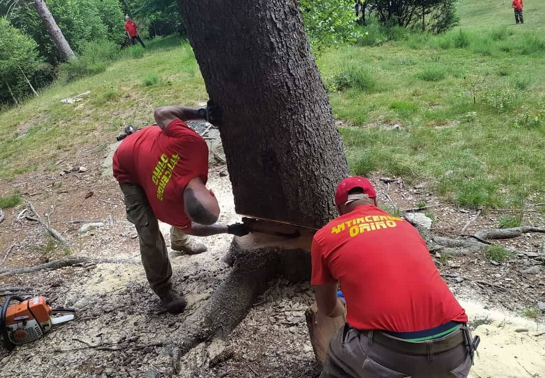 Grandi pulizie al Pian delle Noci