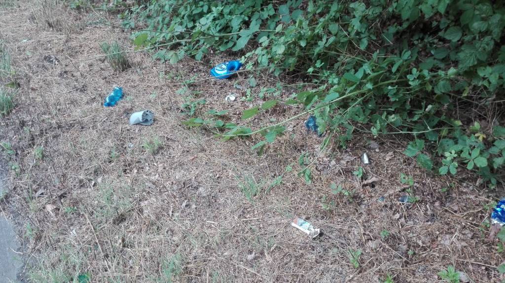 La super pulizia di \"Strade Pulite\" a Vedano Olona