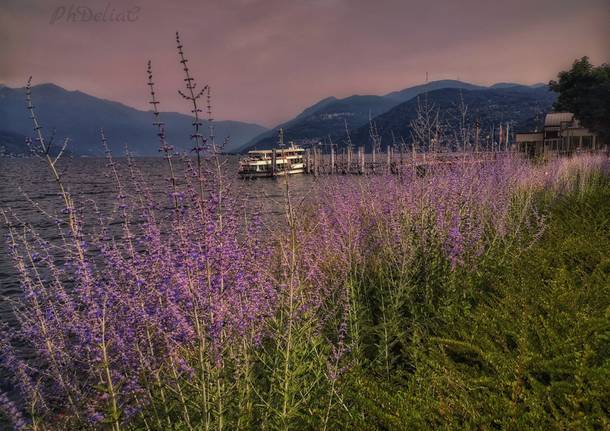 Colori d'estate a Luino - ph. Delia Ilona Ciocoiu