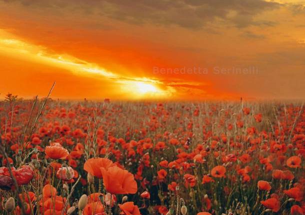 Foto del giorno Maggio 2021