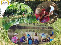 Il Bosco dei Curiosi campo estivo 2021