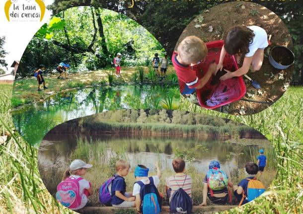 Il Bosco dei Curiosi campo estivo 2021