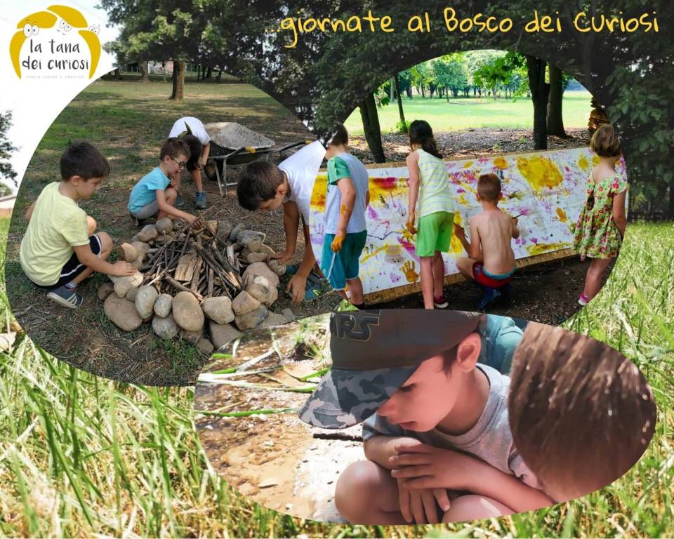 Il Bosco dei Curiosi campo estivo 2021