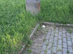 Il parco "Menotti-Sauro" ha bisogno di manutenzione