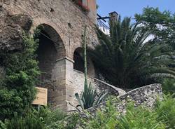 L'agave di Santa Caterina del Sasso è fiorito 