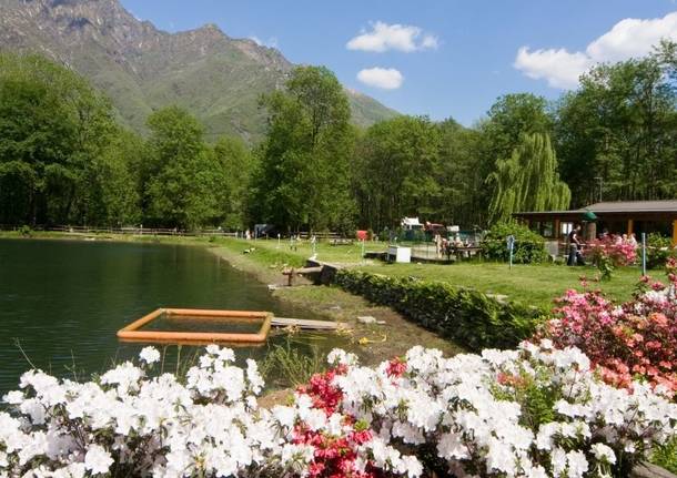 lago delle rose ornavasso