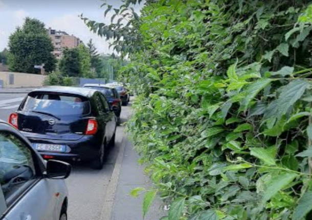 legnano generica