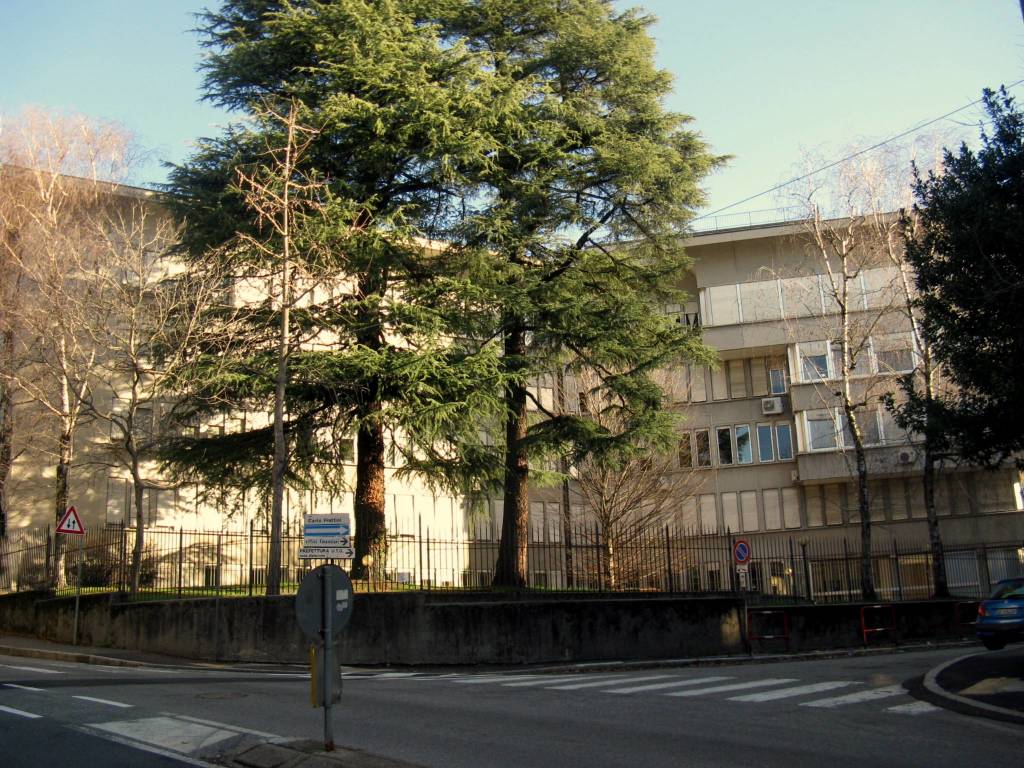 Metamorfosi urbana: dalla casa del sole al palazzo delle tasse