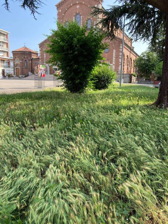 Rifiuti abbandonati e erba alta a Legnano