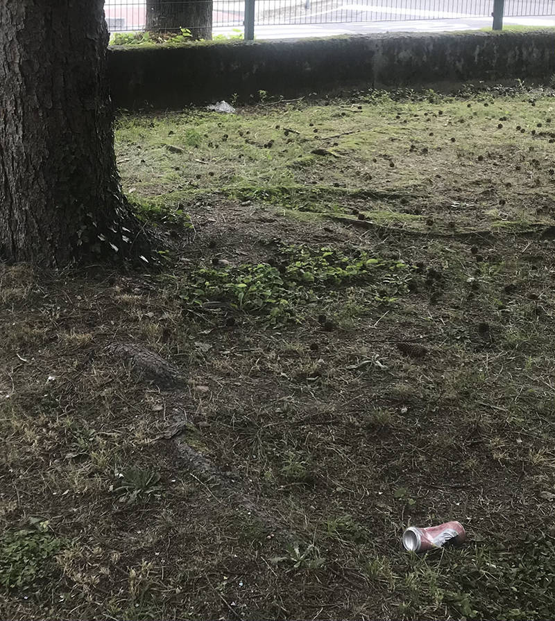 "Rifiuti e degrado al parco Avis-Aido di Fagnano Olona"