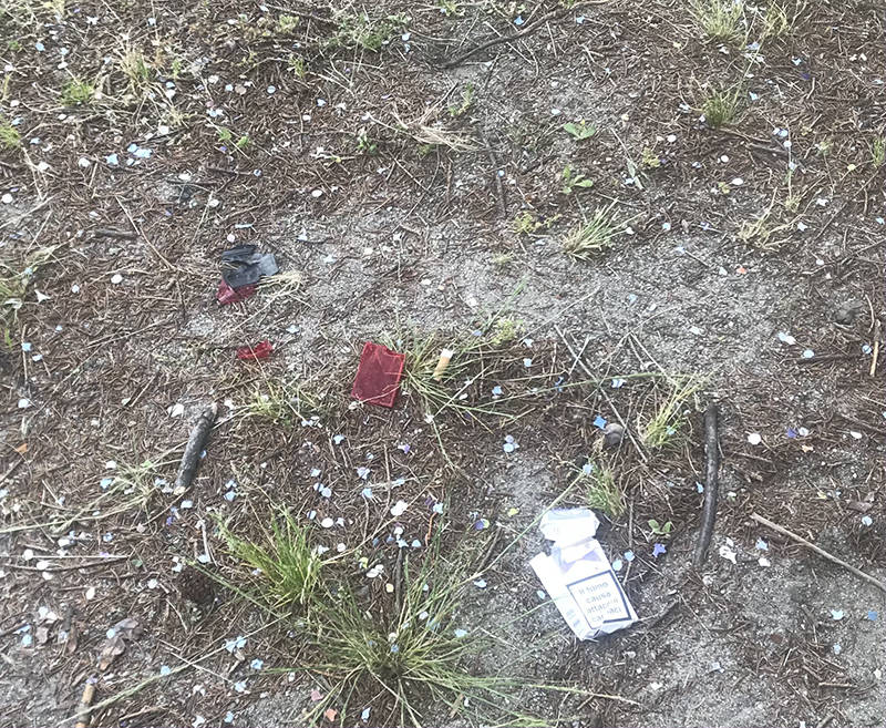 "Rifiuti e degrado al parco Avis-Aido di Fagnano Olona"