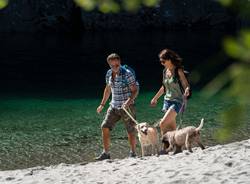 Spiagge della sponda svizzera del Lago Maggiore 