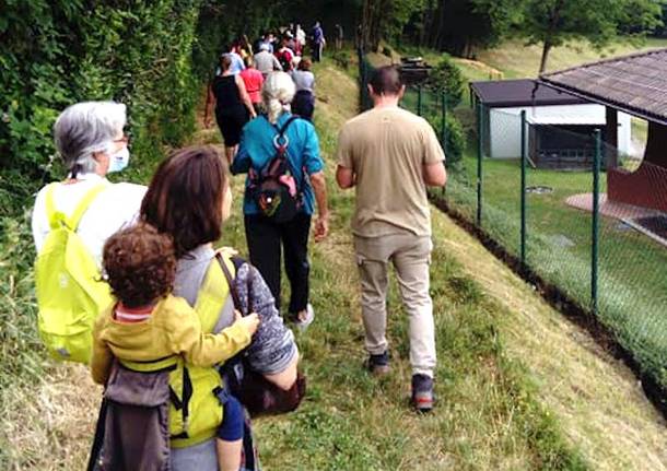 Varese, passeggiata verso la Palude Stoppada