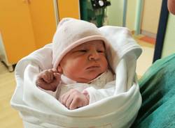 Ben arrivata piccola Giulia