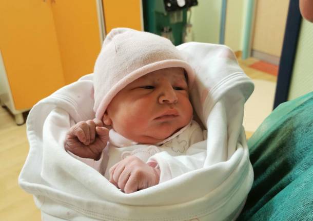 Ben arrivata piccola Giulia