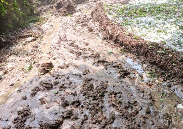 Maltempo in Valcuvia, strade invase dal fango