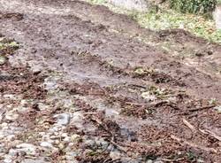 Maltempo in Valcuvia, strade invase dal fango