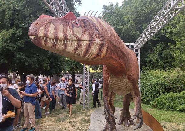 Il Saltriovenator a Milano