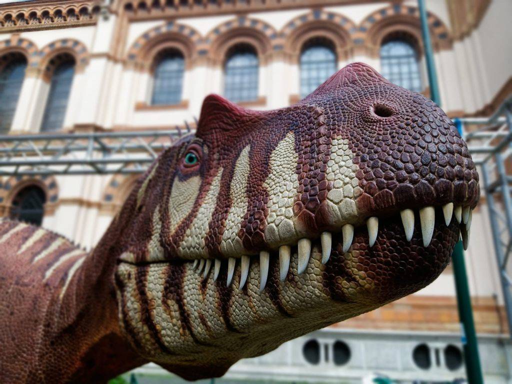 Il Saltriovenator a Milano
