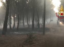 Vigili del fuoco in azione per gli incendi in Sardegna