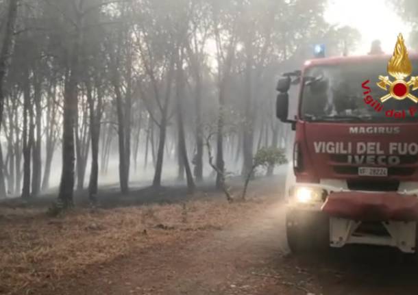 Vigili del fuoco in azione per gli incendi in Sardegna