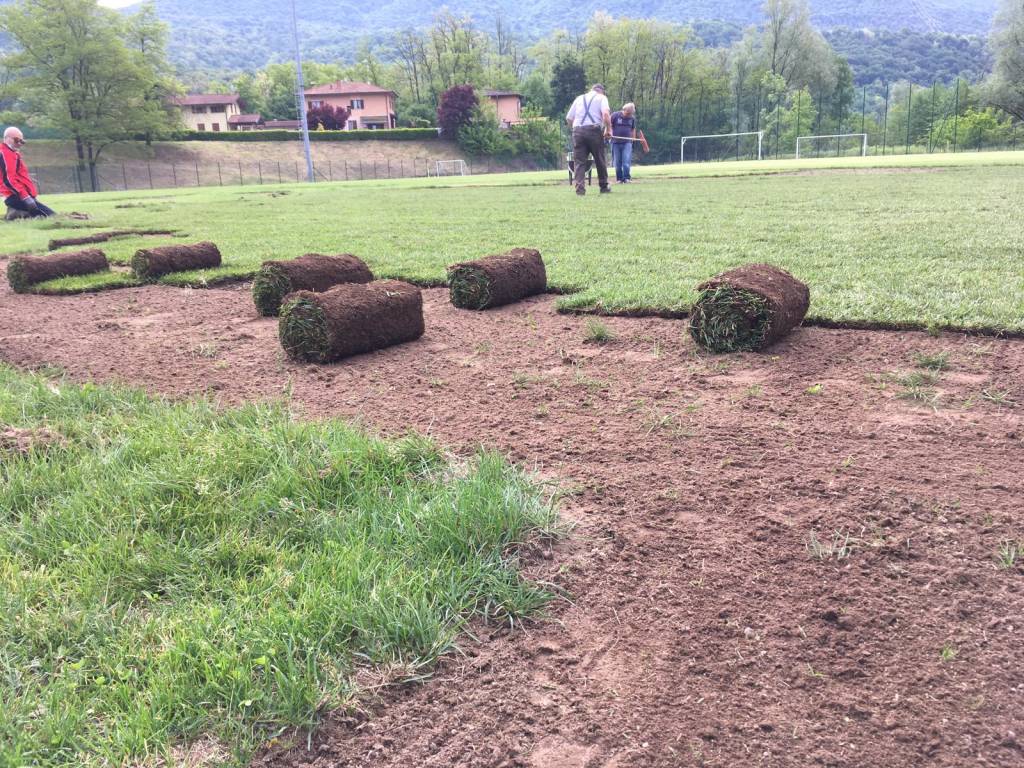 I danni della Popillia japonica sul campo del Tre Valli