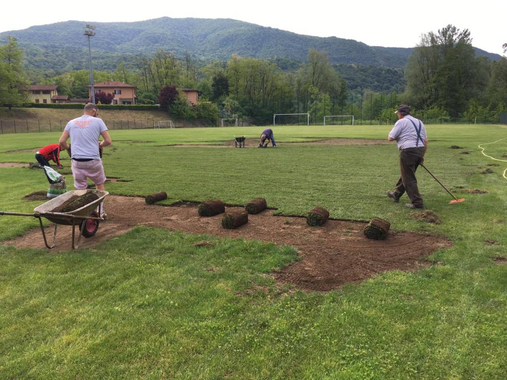I danni della Popillia japonica sul campo del Tre Valli